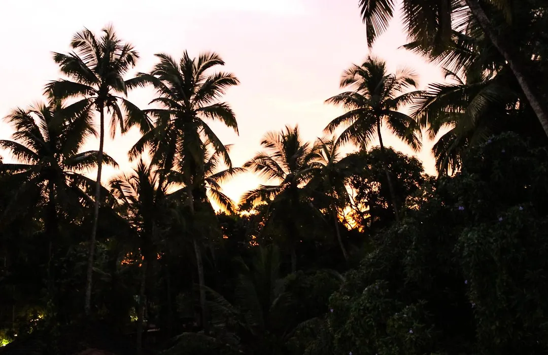 Summer Hostel-1